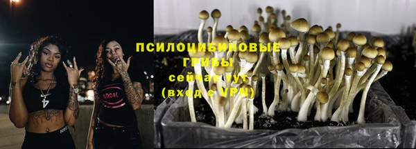 твердый Богородицк