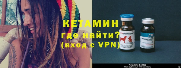 индика Богородск