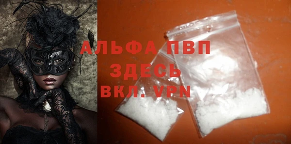 первитин Богданович
