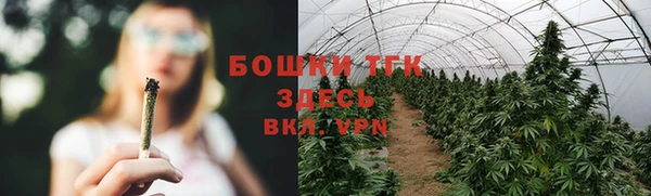 твердый Богородицк
