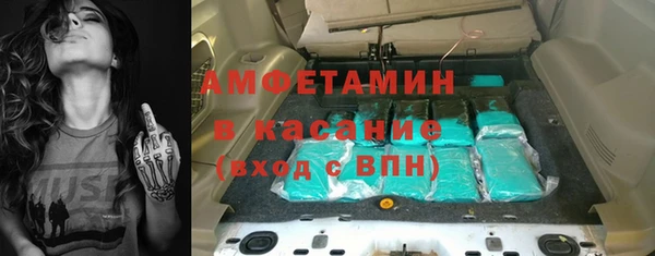 индика Богородск