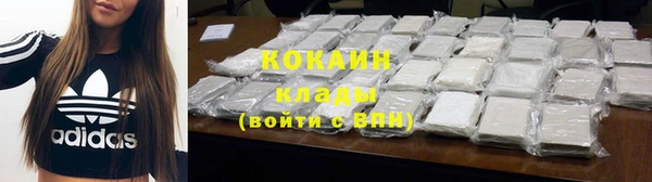 индика Богородск