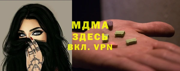 индика Богородск
