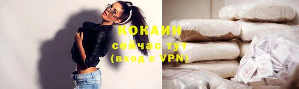 индика Богородск