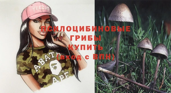 твердый Богородицк