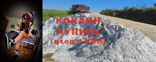 индика Богородск