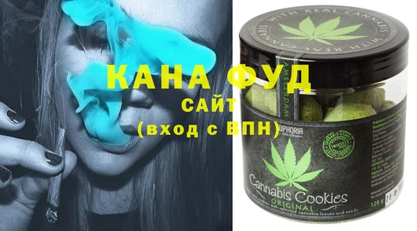 индика Богородск
