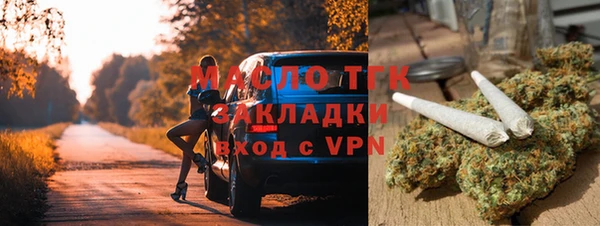 индика Богородск