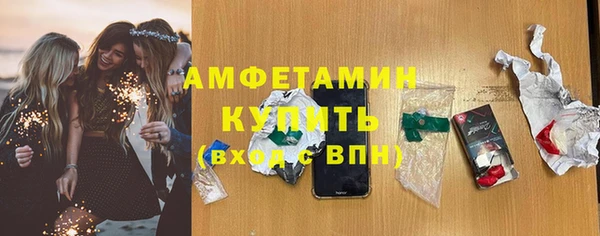 индика Богородск