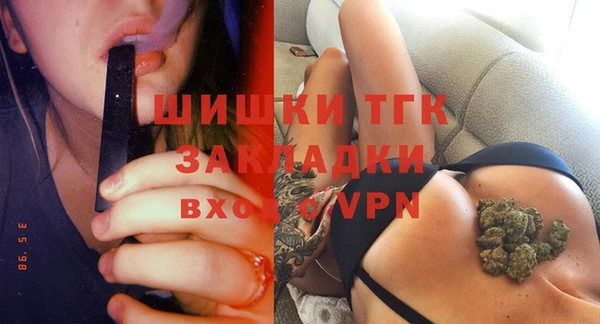 первитин Богданович