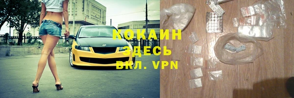индика Богородск