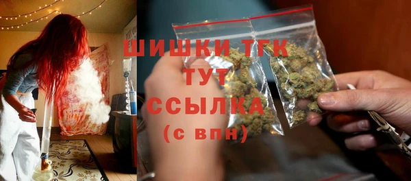 индика Богородск