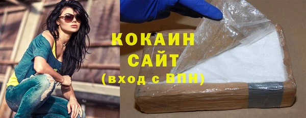 индика Богородск