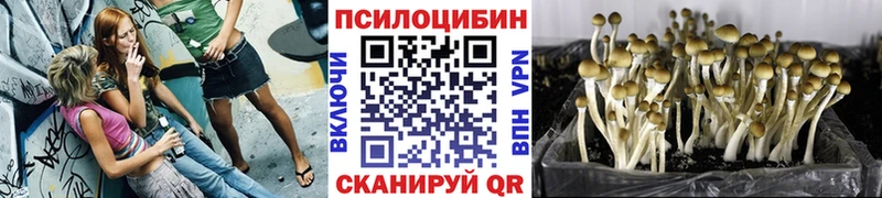 дарнет шоп Нарьян-Мар Псилоцибиновые грибы Magic Shrooms